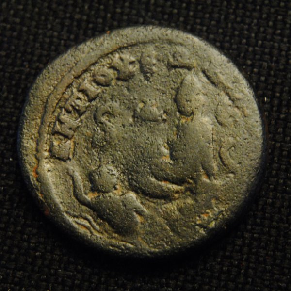Æ-Of-Antioch---Severus-Alexander-Needs-Attribution-?